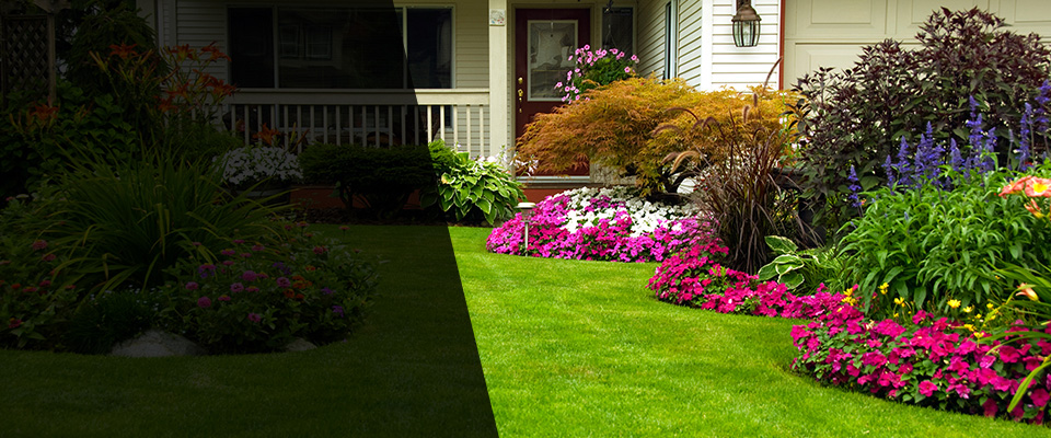 Bloomfield Landscapers